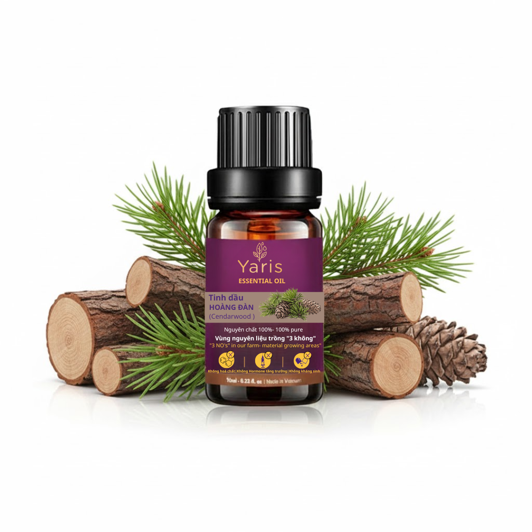 Tinh dầu Hoàng Đàn nguyên chất Yaris