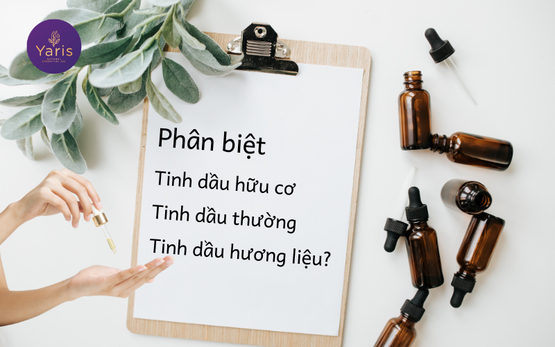 Phân biệt tinh dầu hữu cơ, tinh dầu thường và hương liệu