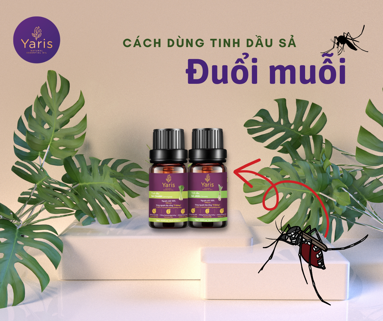 Cách dùng tinh dầu sả đuổi muỗi