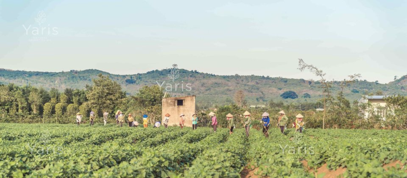 Hành Trình Từ Thiên Nhiên Đến Bình Yên