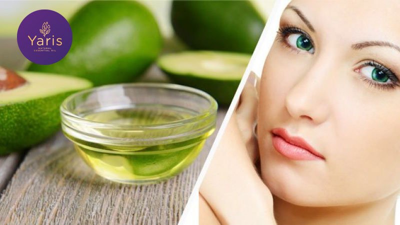 Tác dụng của tinh dầu bơ từ A đến Z